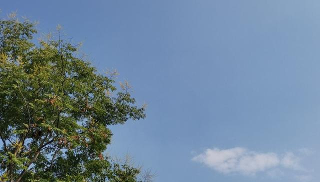 R132518044830671.png