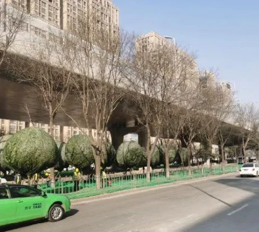 R132557528969646.png