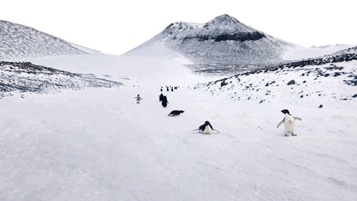 202103099039_8351.gif