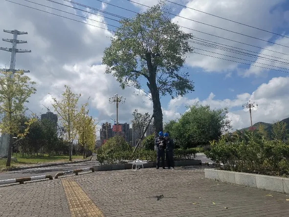 B132786728403810.png
