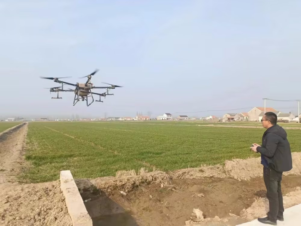 1000.avif (2).jpg