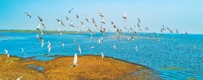 09090727eoqf.jpg
